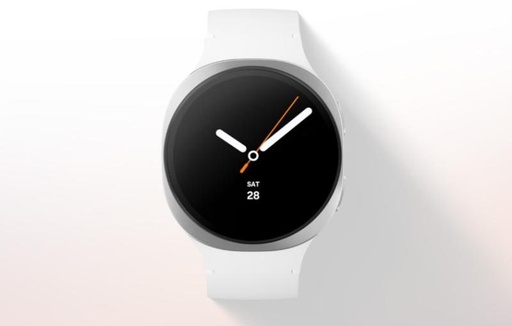 Samsung Galaxy Watch 8 40mm BT (Grafitově šedá) - L320