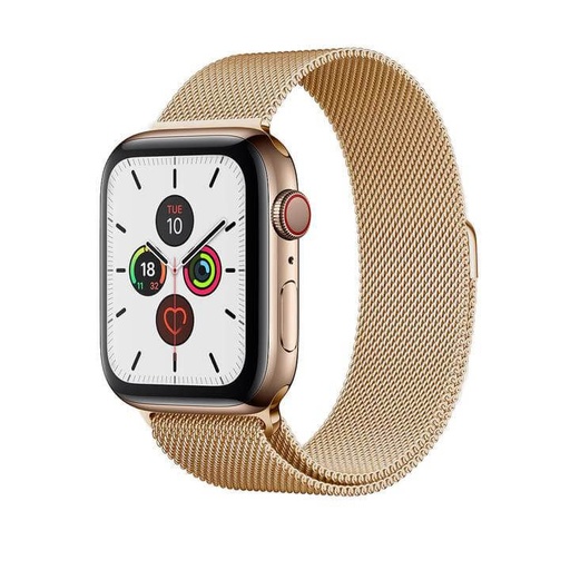 Apple Watch 38 / 40 / 41 mm Hoco WA03 simple beauty milánský řemínek zlatá